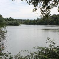 Un étang non connu des Touristes, Le Muy